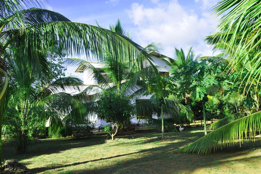 Hotel Coconut Garden House Udawalawe Esterno foto