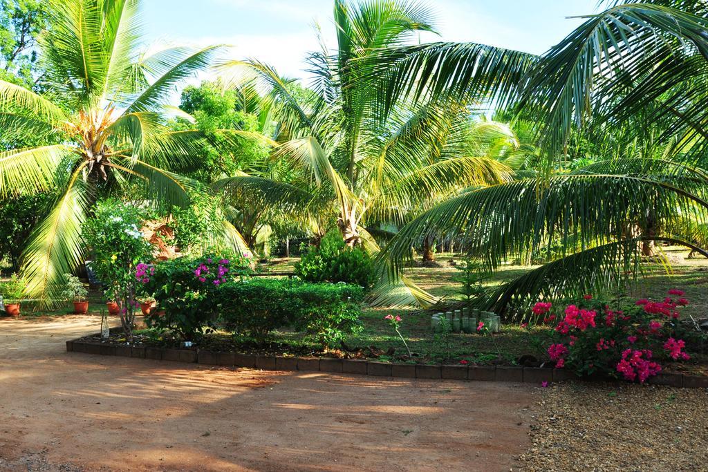 Hotel Coconut Garden House Udawalawe Esterno foto