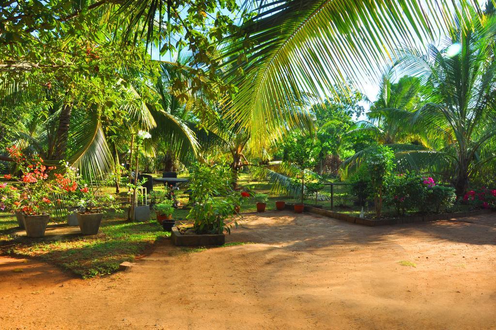 Hotel Coconut Garden House Udawalawe Esterno foto