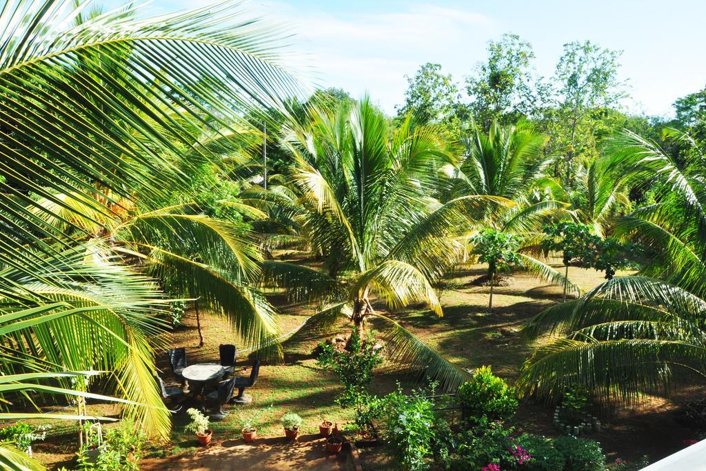 Hotel Coconut Garden House Udawalawe Esterno foto